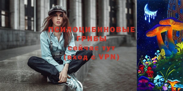 a pvp Алексин