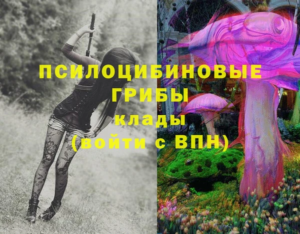 а пвп мука Абаза