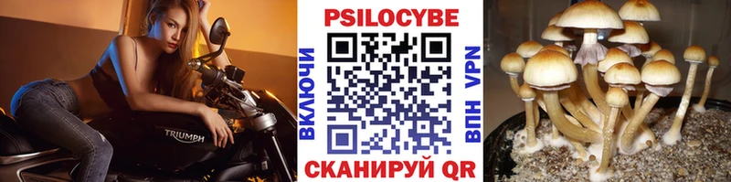 где купить наркоту Чердынь Галлюциногенные грибы мухоморы